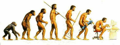 Evolução Postura Humana 2