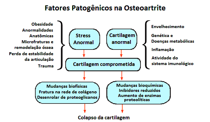 Fatores patogênicos da Artrite e Artrose
