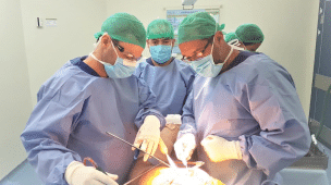 Dr. Bruno Rabello em Cirurgia